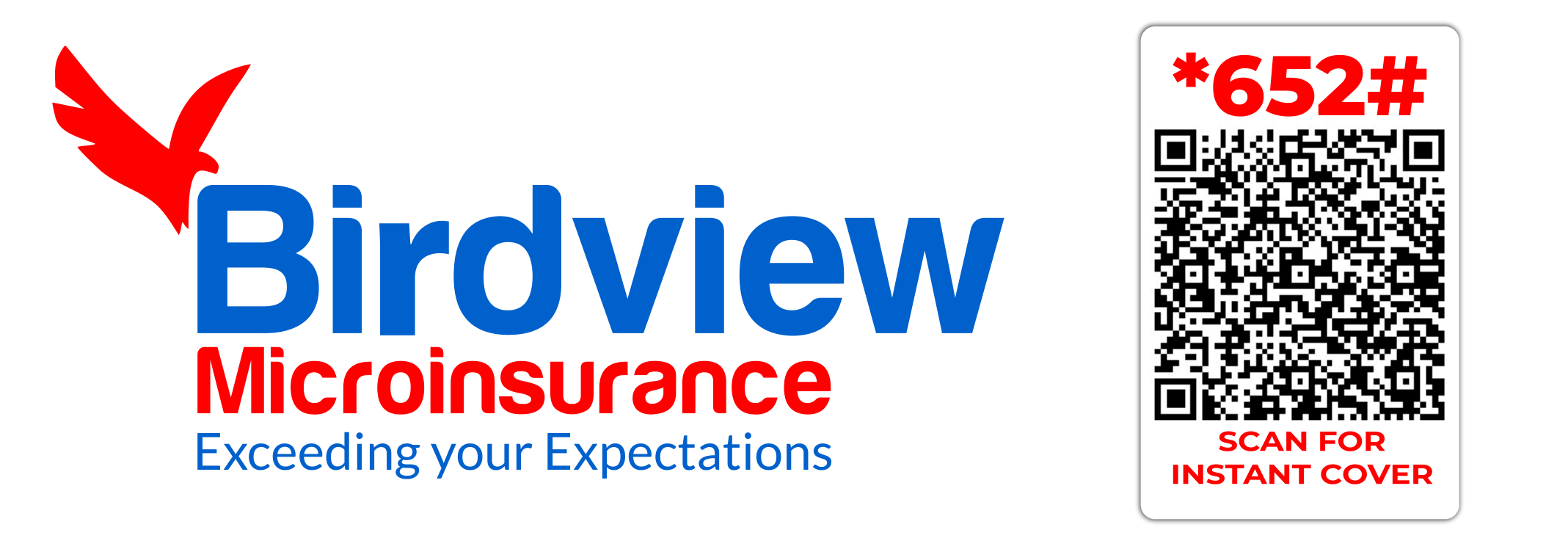 Birdview Microinsurance